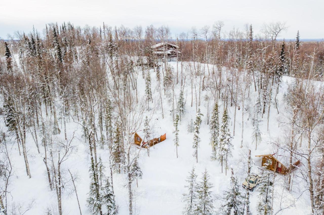Spruce Cabin تالكيتنا المظهر الخارجي الصورة